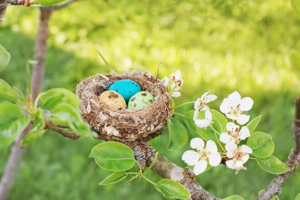Uova di Pasqua in nido all'aperto — Foto Stock
