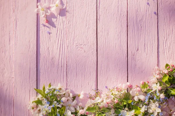 Wiosenne kwiaty na różowym tle drewnianych — Zdjęcie stockowe