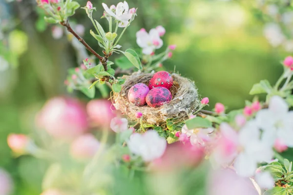 Uova di Pasqua rosa nel frutteto primaverile — Foto Stock