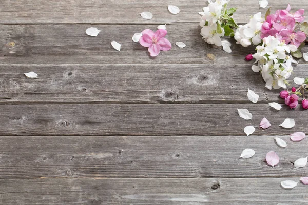 Flores de manzana sobre fondo de madera — Foto de Stock