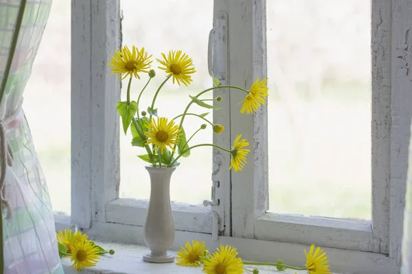 Manzanilla amarilla en alféizar de ventana — Foto de Stock