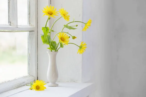 窗台上的黄色洋甘菊 — 图库照片