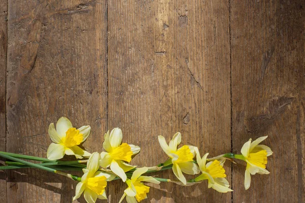 Yellow narcissus on old wooden background — Stock Photo, Image