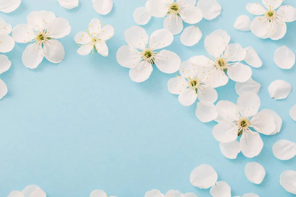 Cherry flowers on paper background — Stock Photo, Image