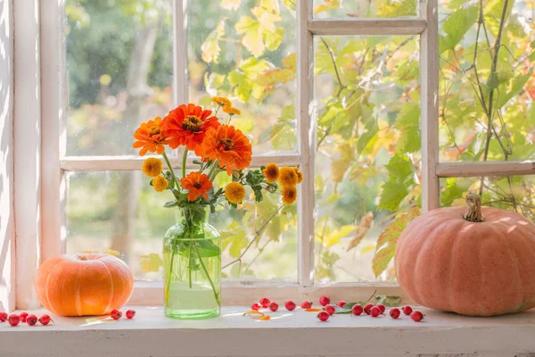 Orange Flowers Pumpkins White Window — Stock Photo, Image