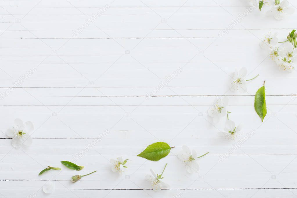 spring flowers on white wooden background