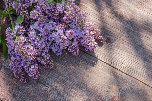 Lila op oude houten achtergrond in zonlicht — Stockfoto