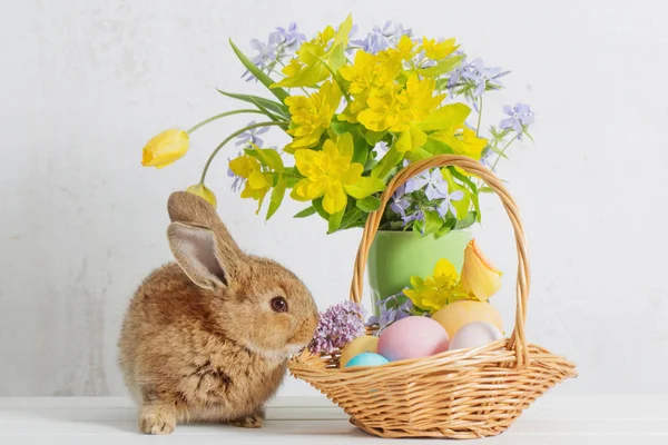 Coelho com ovos de Páscoa e flores no fundo branco — Fotografia de Stock