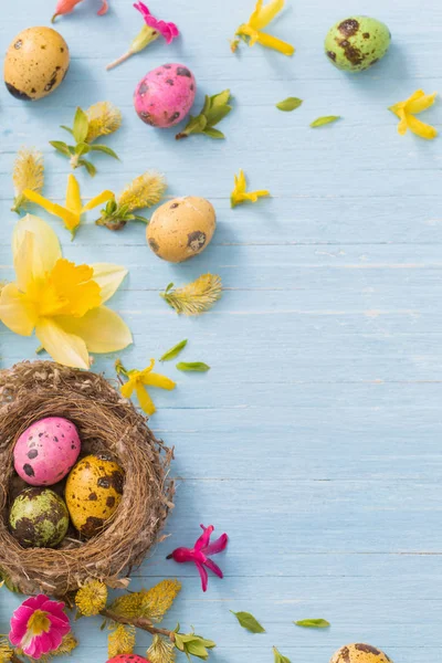 Пасхальные яйца в гнезде с весенними цветами на деревянном фоне — стоковое фото