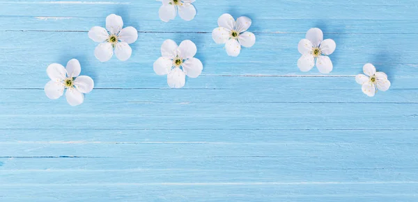 Flores de primavera sobre fondo de madera azul — Foto de Stock