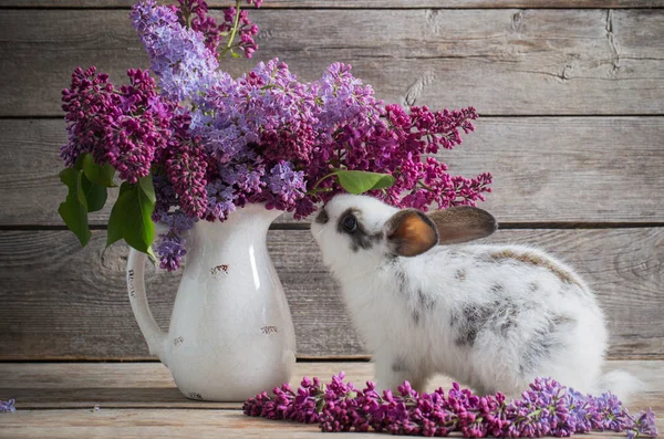 Easter Bunny Lilac Wooden Background — Stock Photo, Image