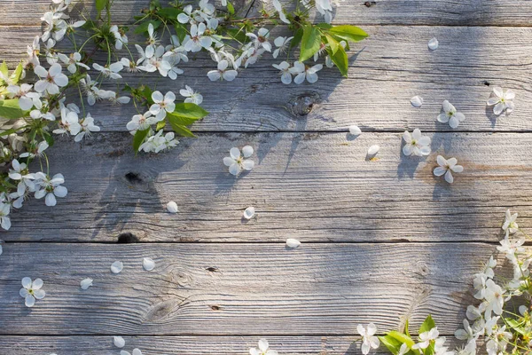 Spring flowers on old wooden background — Stock Photo, Image
