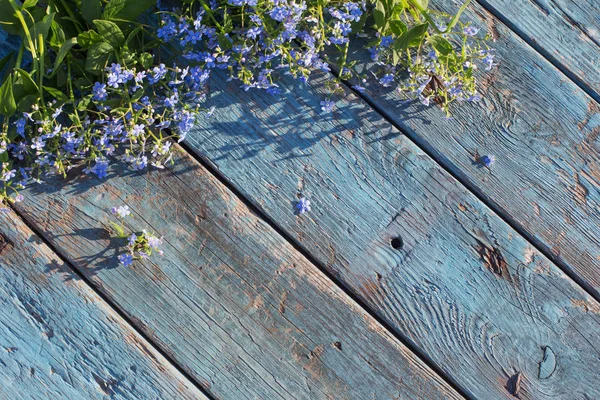 Blue flowers on old wooden background — Stock Photo, Image