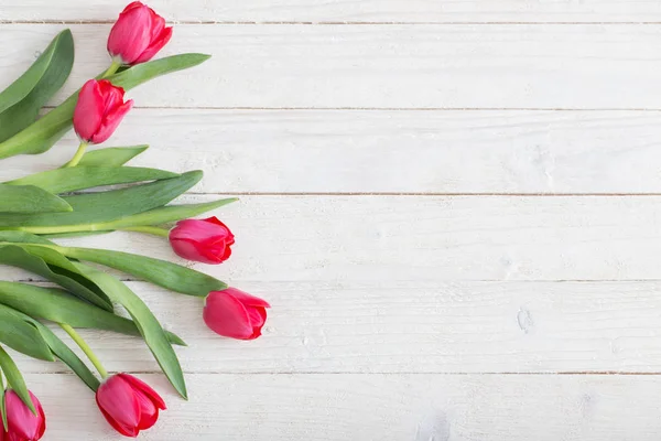 Tulipes roses sur fond blanc en bois — Photo