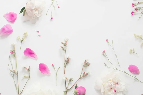 Fleurs d'été sur fond de papier blanc — Photo