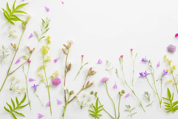 Summer flowers on white paper background — Stock Photo, Image