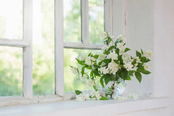 Jázmin az ablakpárkányon váza — Stock Fotó