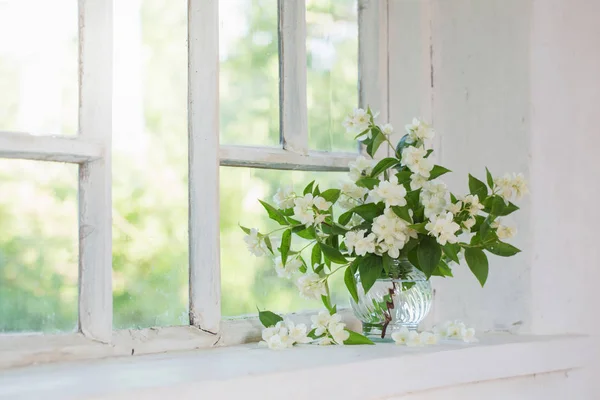 Jazmín en jarrón en alféizar de ventana — Foto de Stock