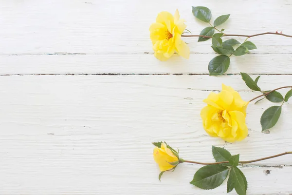 Rosas amarelas sobre fundo de madeira branco — Fotografia de Stock