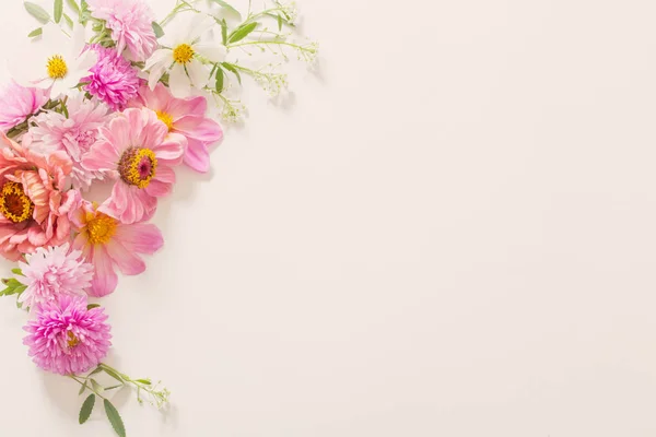 Rosa Blüten auf weißem Hintergrund — Stockfoto