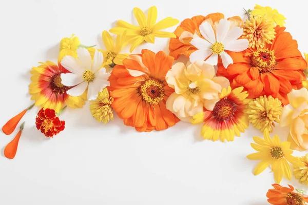 白地に黄色や橙色の花を咲かせ — ストック写真