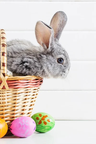 Пасхальный кролик с яйцами на белом фоне — стоковое фото