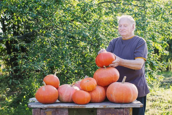 Elderly men with pumpinks outdoor — Stock Photo, Image