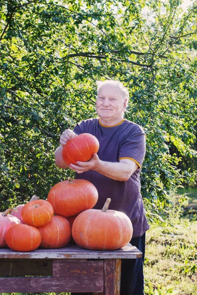 Ancianos con calabazas al aire libre — Foto de Stock