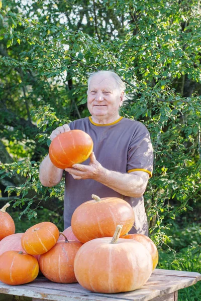 Elderly men with pumpinks outdoor — Stock Photo, Image