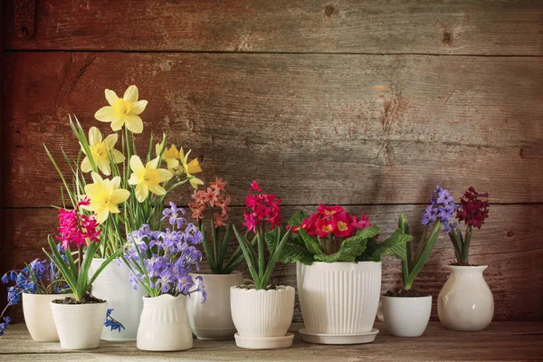 Spring flowers on old wooden background — Stock Photo, Image