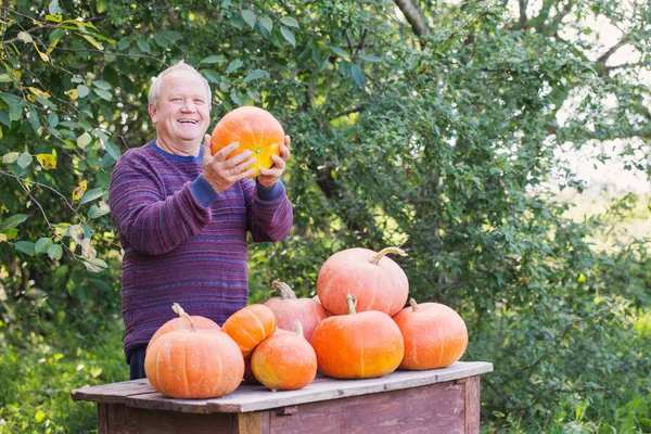 Oudere mannen met pumpinks buiten — Stockfoto