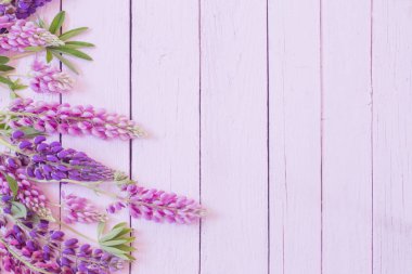 Lupine pembe ahşap zemin üzerine