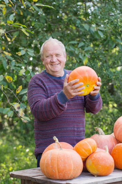 Oudere mannen met pumpinks buiten — Stockfoto