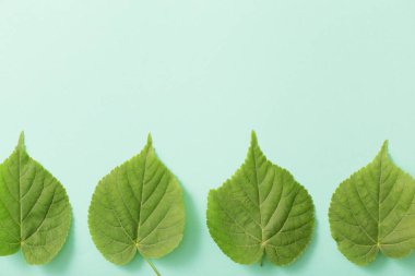 Kağıt arkaplanda yeşil yapraklar