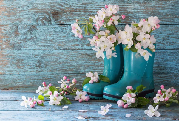 Spring flowers in boots on wooden background — Stock Photo, Image