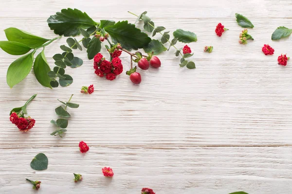 Red flowers with leaves on white wooden background — Stock Photo, Image