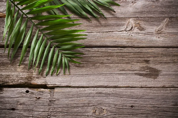 Exotiska blad på gamla trä bakgrund — Stockfoto