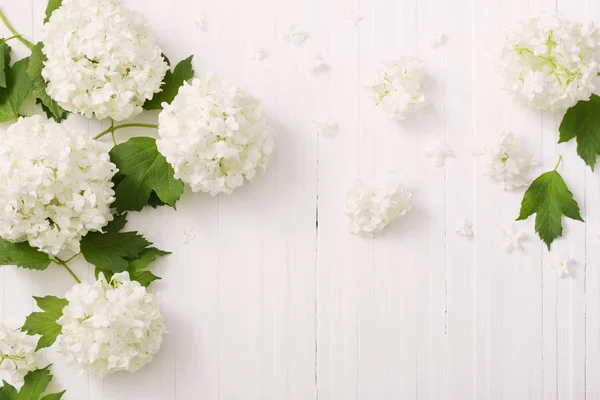 Viburnum decorativo em fundo de madeira — Fotografia de Stock