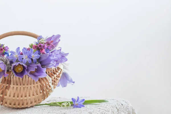 Bukiet wiosennych kwiatów fioletowych na białym tle — Zdjęcie stockowe