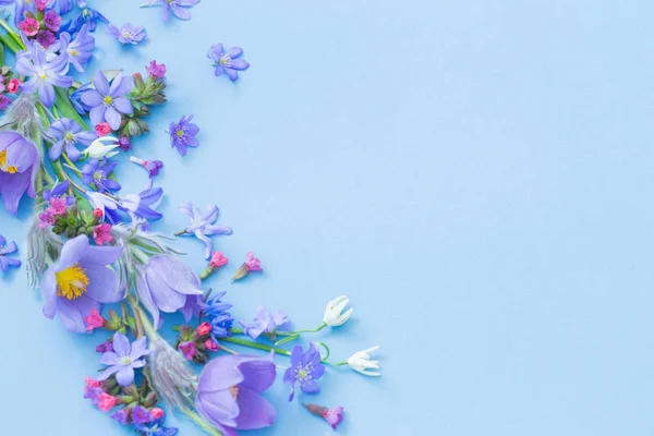 푸른 배경에 있는 봄 꽃 — 스톡 사진