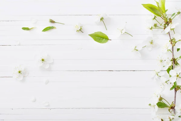 Jarní květiny na bílém dřevěném pozadí — Stock fotografie
