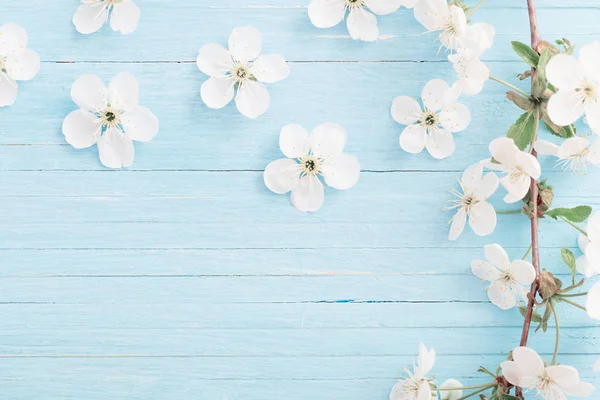 Flores de primavera no fundo de madeira azul — Fotografia de Stock