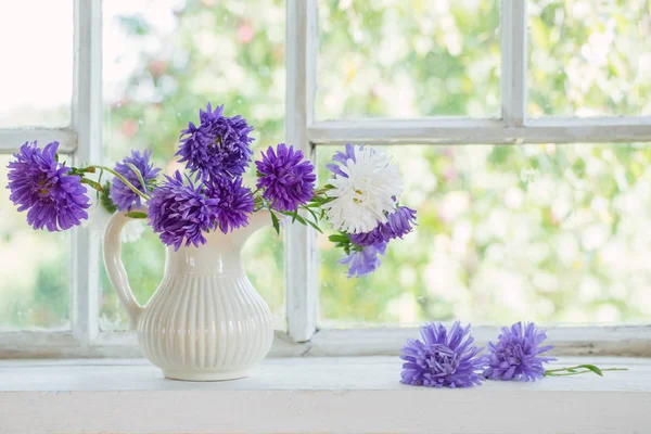 Purple asters in  jug on  windowsill — Stock Photo, Image