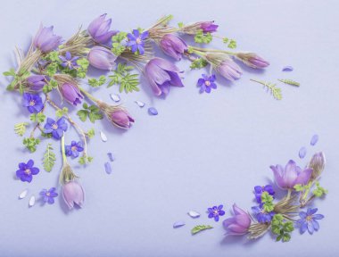 Mavi arka planda güzel bahar çiçekleri