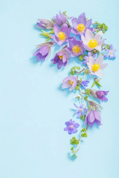 Hermosas flores de primavera sobre fondo azul — Foto de Stock