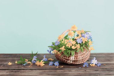 Sepette sarı bahar çiçekleri ile natürmort