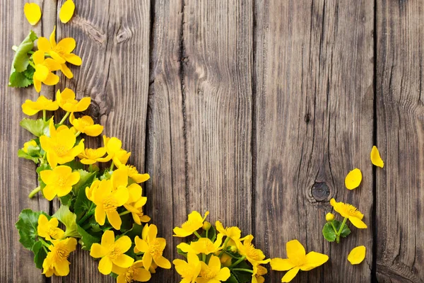 Gula vårblommor på mörk trä bakgrund — Stockfoto