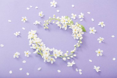 kağıt arka plan üzerinde kuş kiraz çiçekleri