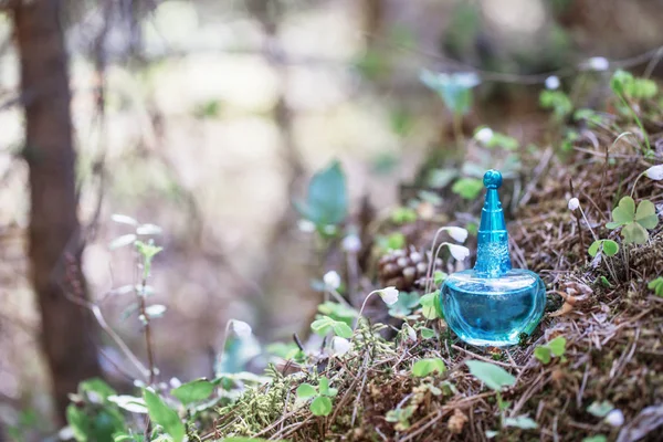 Toverdrank op fles in bos — Stockfoto