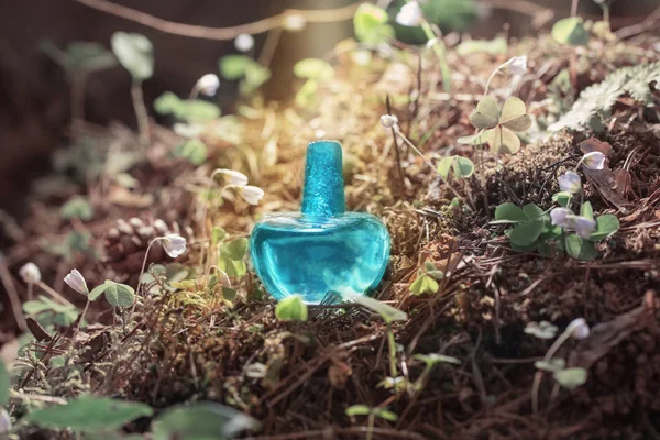 Чарівне зілля на пляшці в лісі — стокове фото